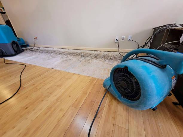 Professional Basement Flood Cleanup technician working in Rickman, TN